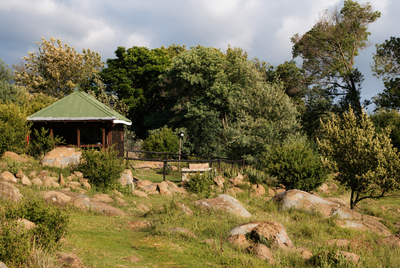 Dragonfly Cabin
