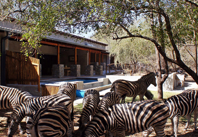 Dream of Africa Bush Lodge