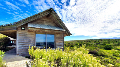 Driftwoods Eco Bush Beach Escape