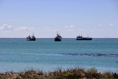 Driftwood Studio Apartment