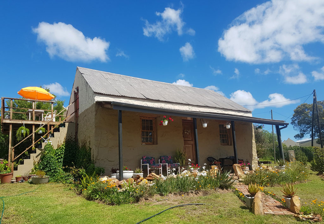 treetop canopy tours tsitsikamma