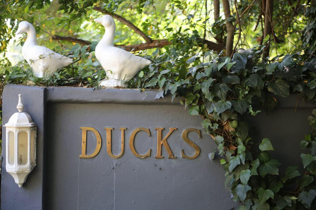 Ducks Country House