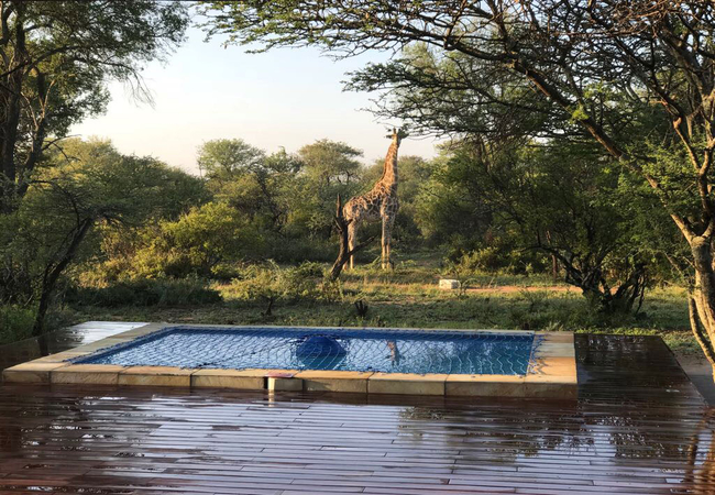 Swimming pool