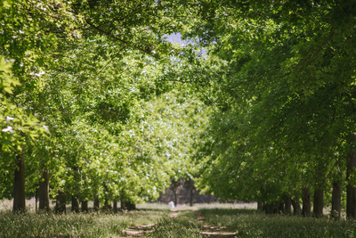 Duikersdrift Winelands Country Escape