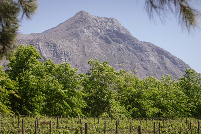Duikersdrift Winelands Country Escape