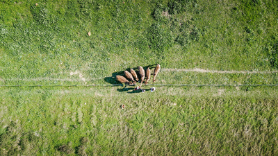 Duikersdrift Winelands Country Escape