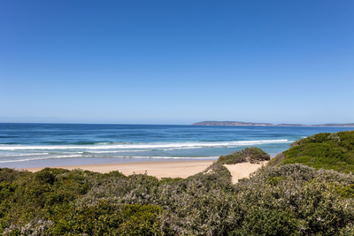 Dune Seaside Cottage