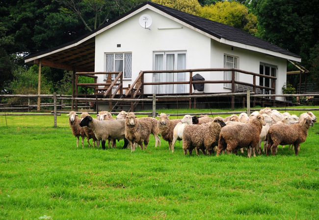 Executive Self-catering Double Cottage