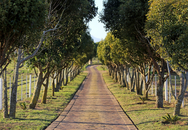 Resort driveway to reception