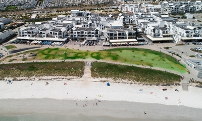 Eden on the Bay 210