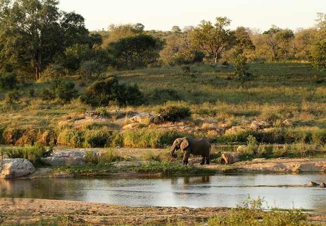 Eden Safari Country House