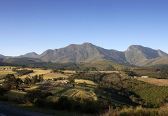 Ruiterbos Valley