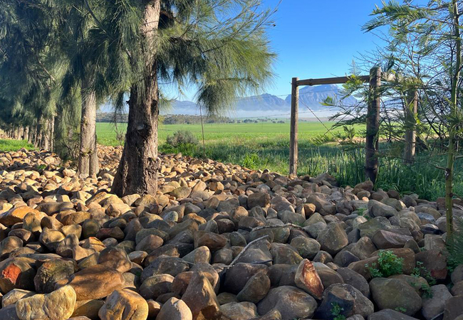  Eikelaan Farm Cottages