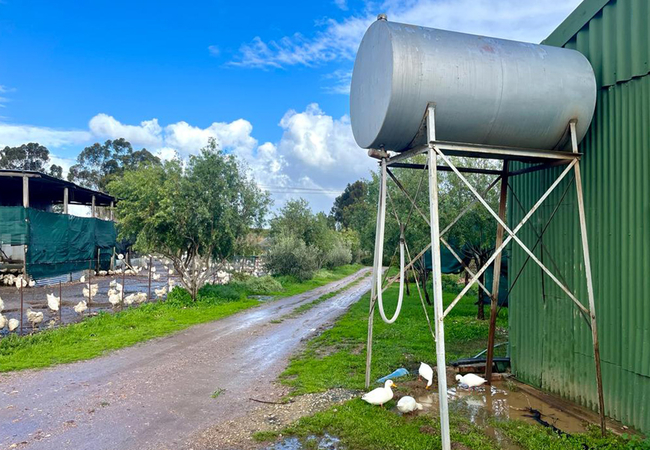  Eikelaan Farm Cottages