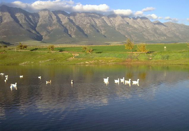  Eikelaan Farm Cottages