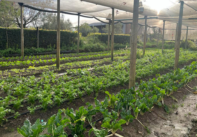  Eikelaan Farm Cottages