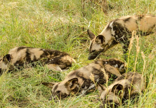 Elandela Lake View Lodge