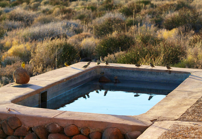 Elandsberg Cottage CO2/4Z