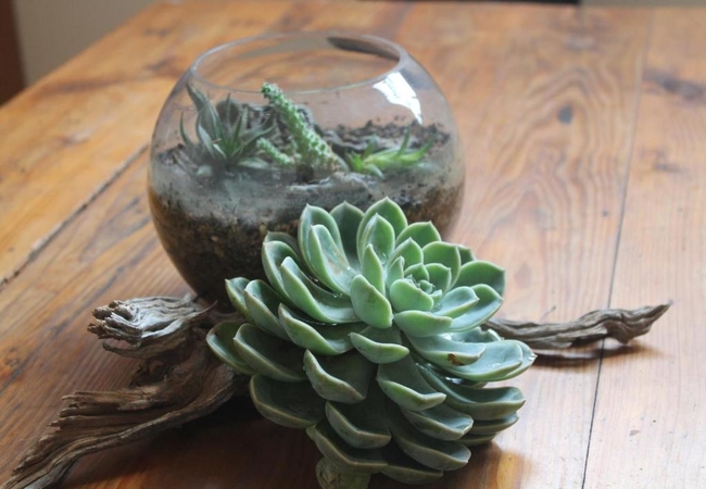 Chalet D - Kalahari Self-Catering King