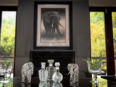 Elephant Plains Game Lodge