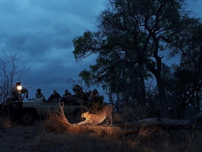 Elephant Plains Game Lodge