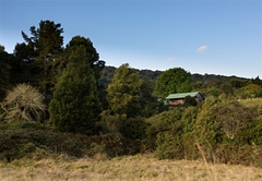 Elephant Rest Forest Cottage