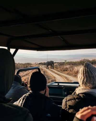 Elephant Rock Private Safari Lodge