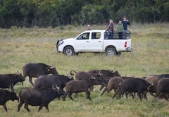 Elephants Lodge