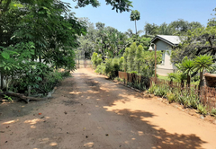 Elephant Walk Guesthouse