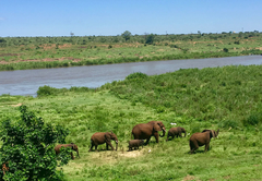 Elephant Walk Retreat
