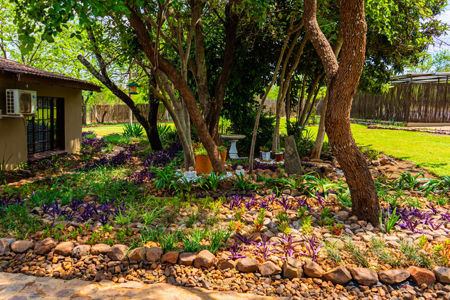 El-Tsuri Guest Resort