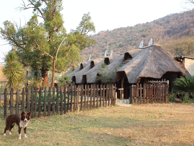 Emahlathini Guest Farm