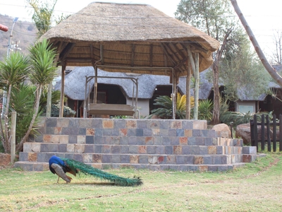 Emahlathini Guest Farm