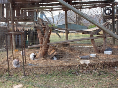 Emahlathini Guest Farm