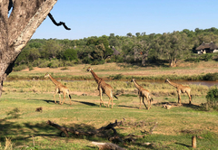 Emhosheni River Lodge