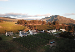 Endless Vineyards @ Wildekrans