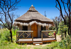 Entabeni Safari Conservancy