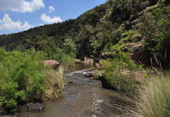 Ezemvelo Nature Reserve