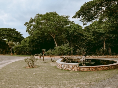 Ezulwini Game Lodge