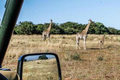 Ezulwini Game Lodge