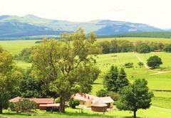 Fairbairn Guest Farm