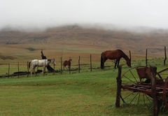 Fairbairn Guest Farm