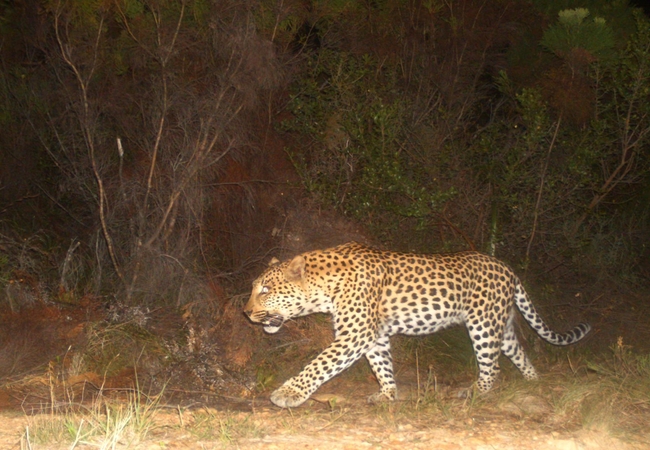 Farm 215 Nature Retreat