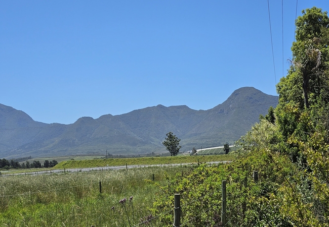 Farmlands George