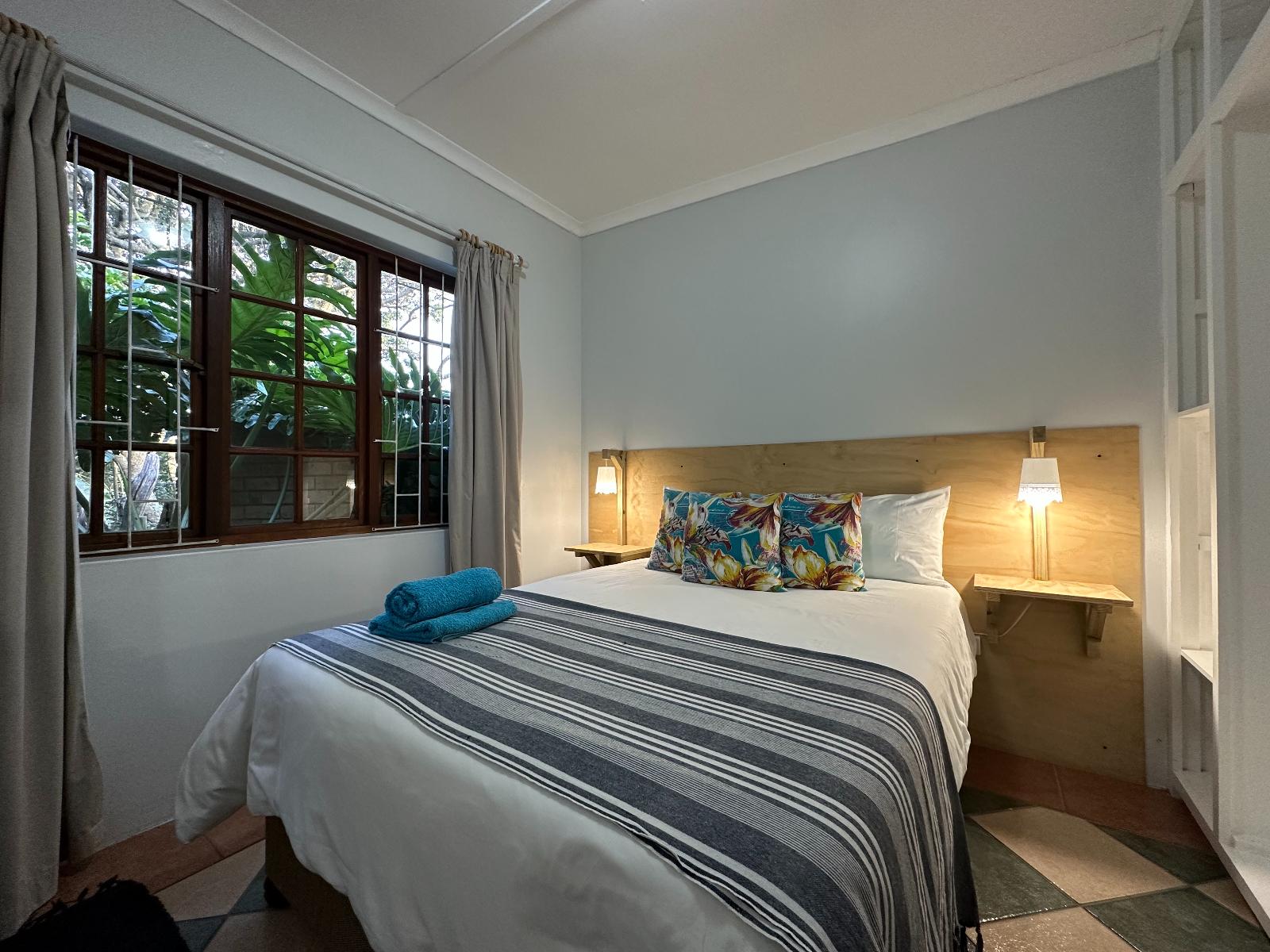 Fat Gecko on Freshwater