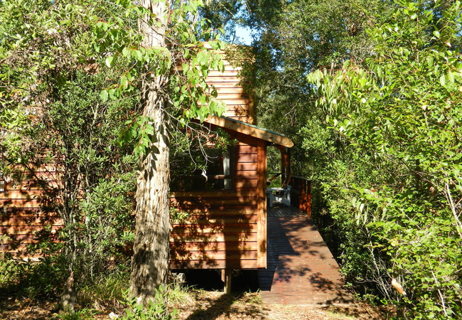 Coucal Cabin