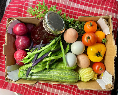 Exclusive Use Holiday Cottage