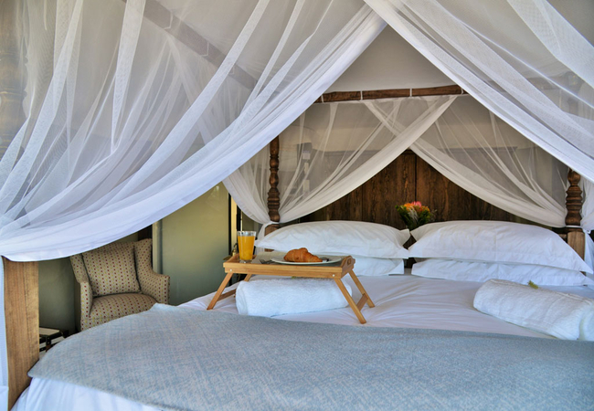 Luxury Safari Tent 2