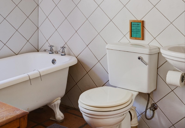 Fish Eagle @ Somerset Gift