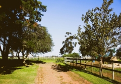 Fleckvieh Guest Farm
